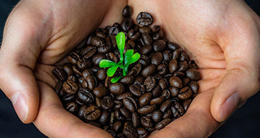 5 Ways to Make Your Lifestyle More Sustainable