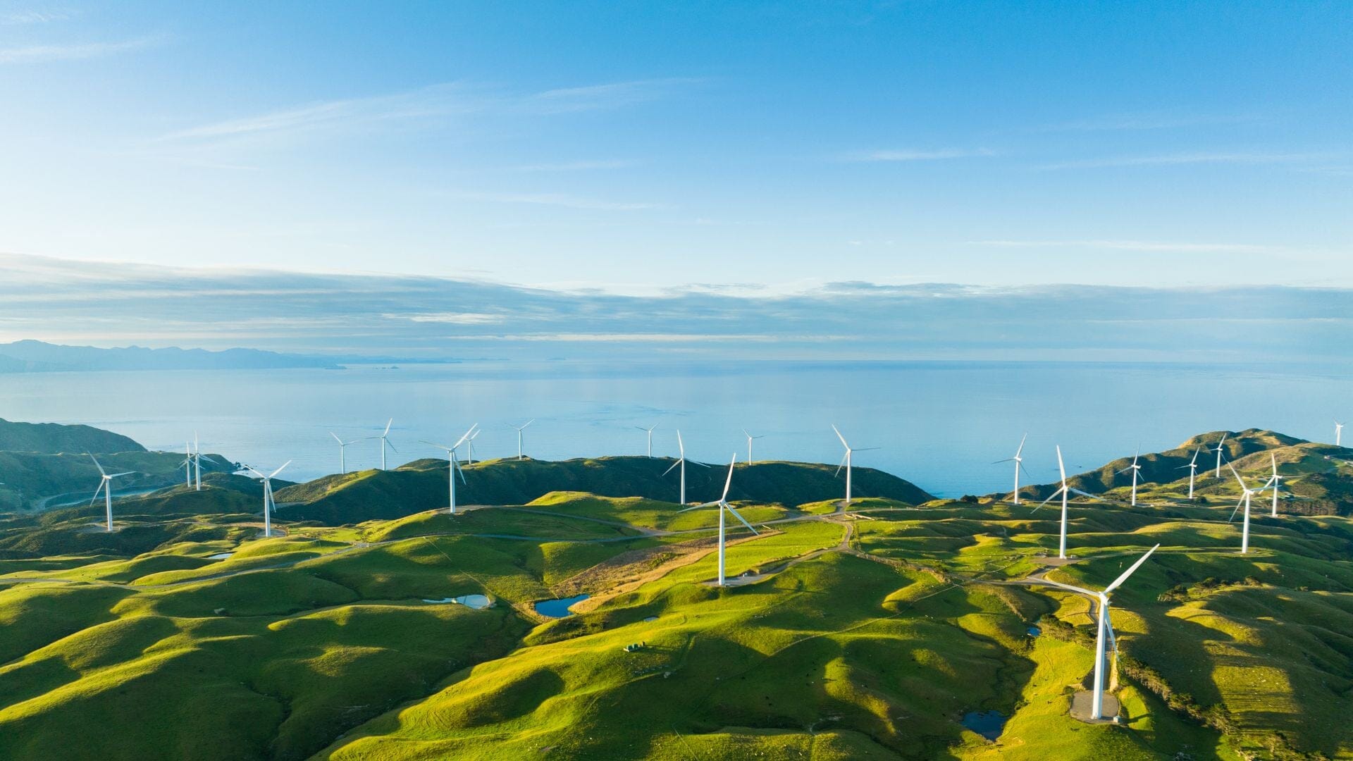 Green Beginnings: Embracing Sustainable Practices for 2024