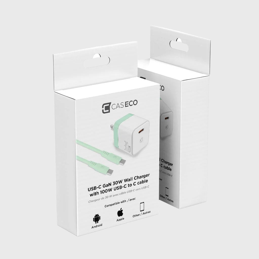 GaN 30W Wall Charger with 100W Type C to Type C Cable - Pastel Green