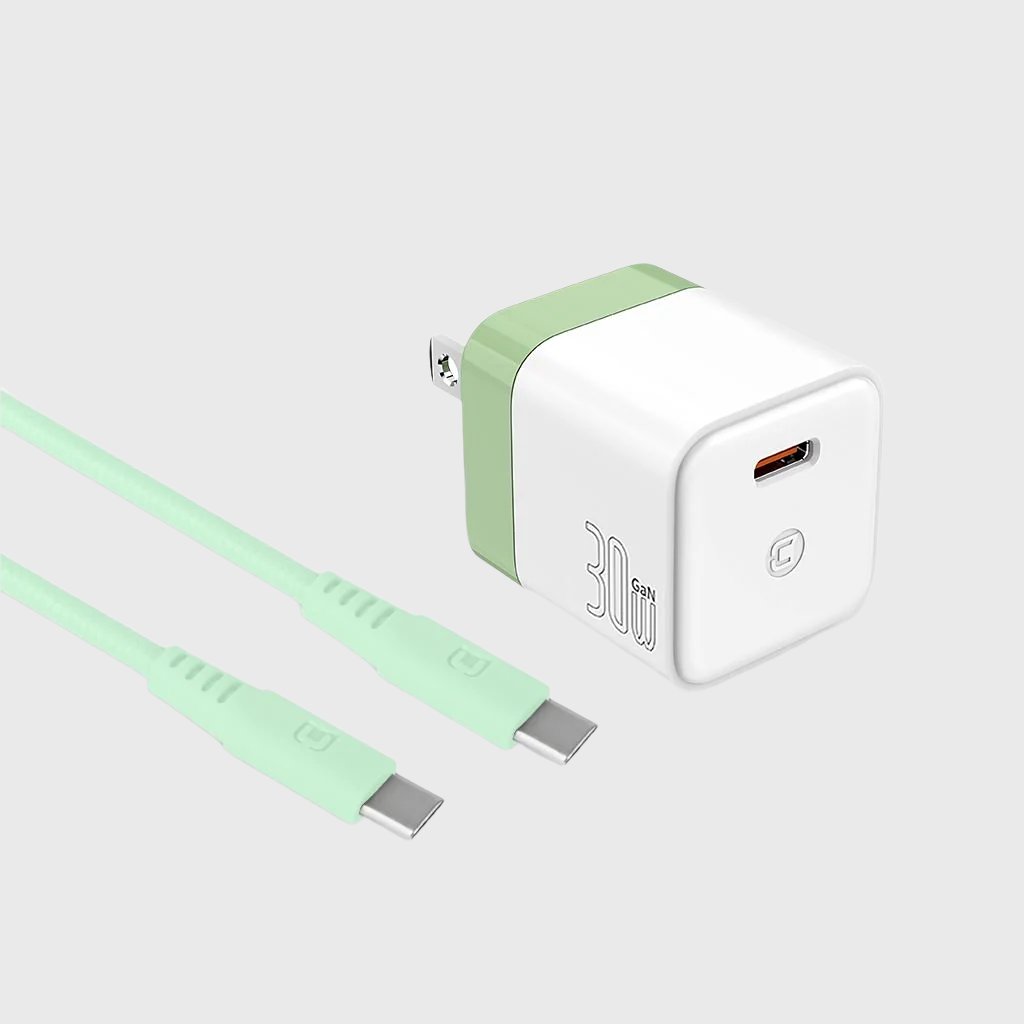 GaN 30W Wall Charger with 100W Type C to Type C Cable - Pastel Green