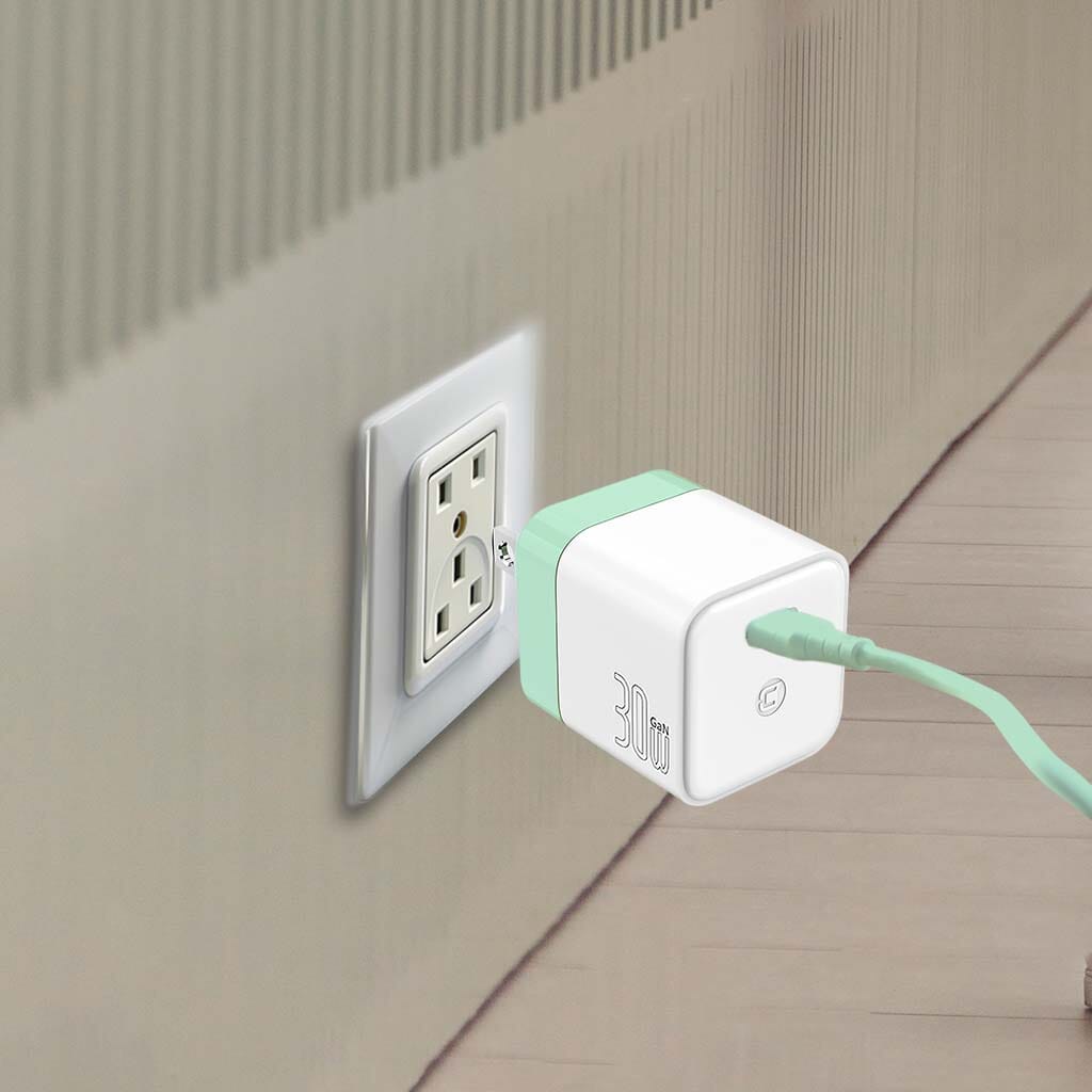 GaN 30W Wall Charger with 100W Type C to Type C Cable - Pastel Green