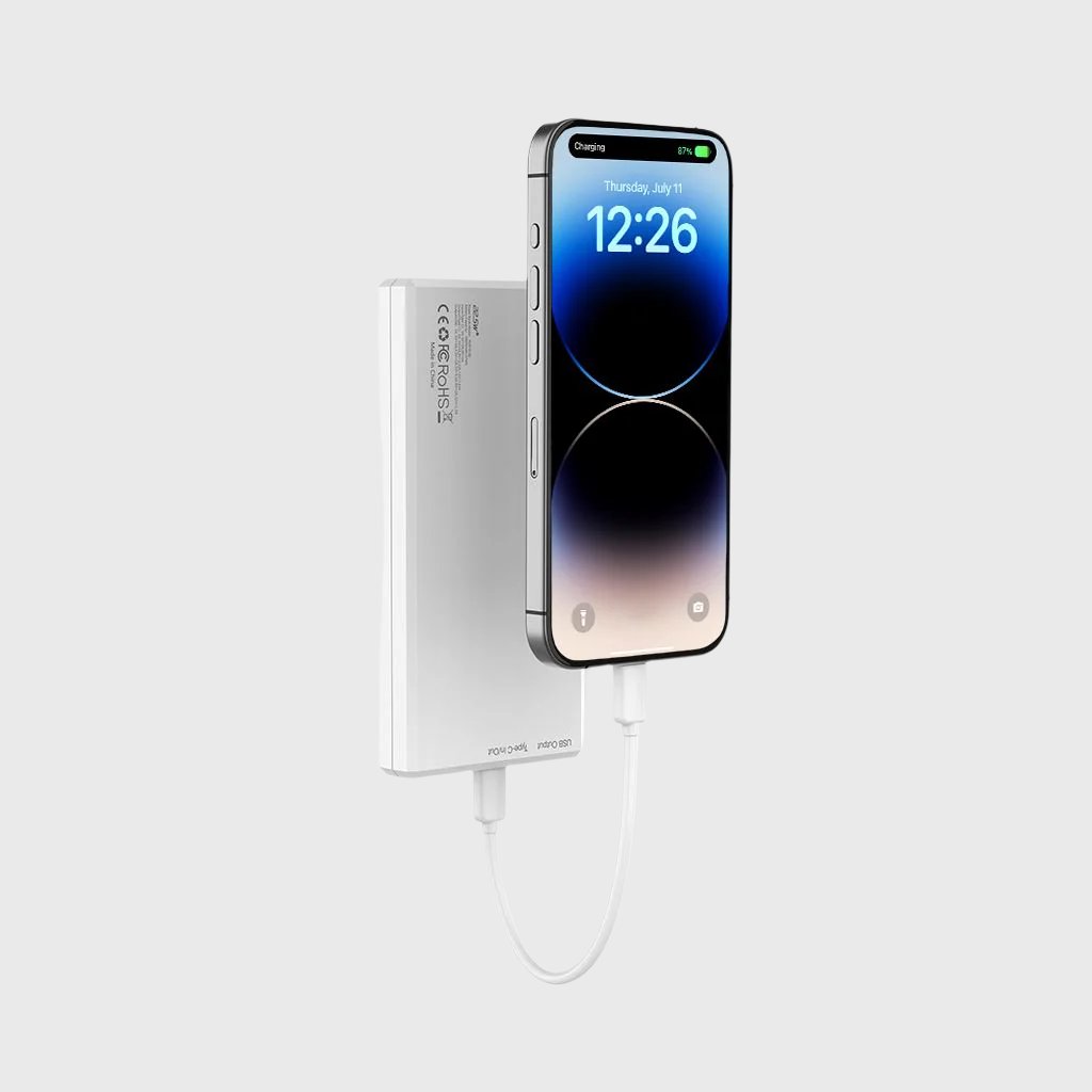 10000 mAh Power Bank